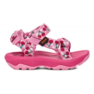 Teva Hurricane XLT 2 Toddler Picnic Cherries Roseblm Brwhit